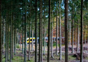 Farvepapir jernbanemotiv 01 Guld Marianne Jørgensen Toget i skoven